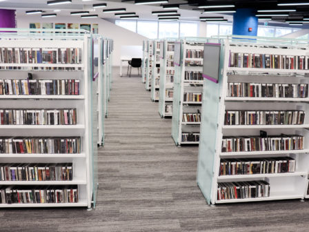 stanley a milner library