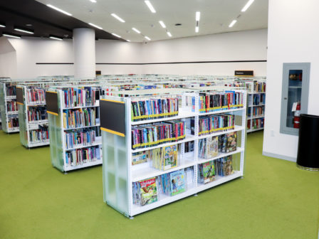 stanley a milner library